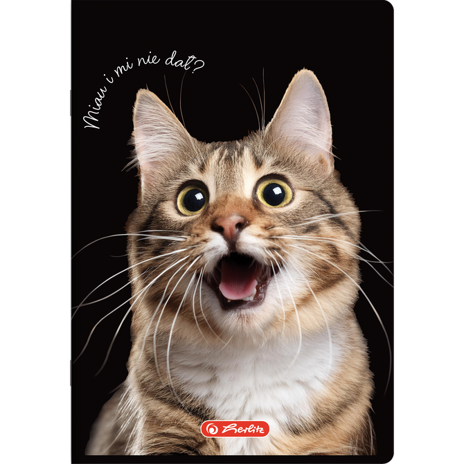 Zeszyt A5 80 kartek w kratkę z marginesem 70g Crazy Animal 5szt HERLITZ