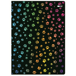 Teczka rysunkowa kartonowa z gumką A4 24x31cm łapki koty MIAOW HAPPY COLOR