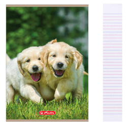 Zeszyt A5 32 kartki podwójna linia kolorowa 3linie 70g/m2 Animals HERLITZ