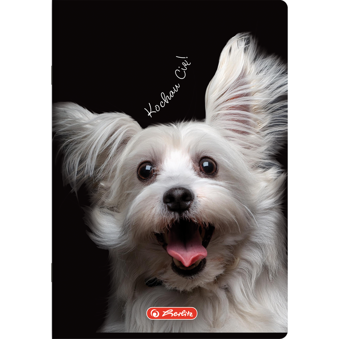 Zeszyt A4 60 kartek w kratkę z marginesem 70g Crazy Animal 5szt HERLITZ