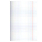 Zeszyt A4 60 kartek w kratkę z marginesem 70g Crazy Animal 5szt HERLITZ