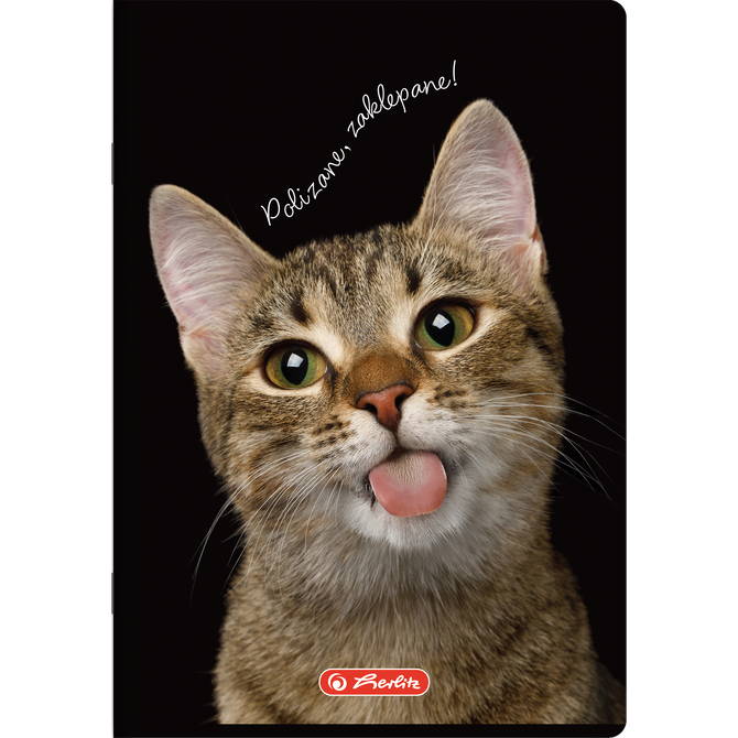 Zeszyt A5 80 kartek w kratkę z marginesem 70g Crazy Animal 5szt HERLITZ