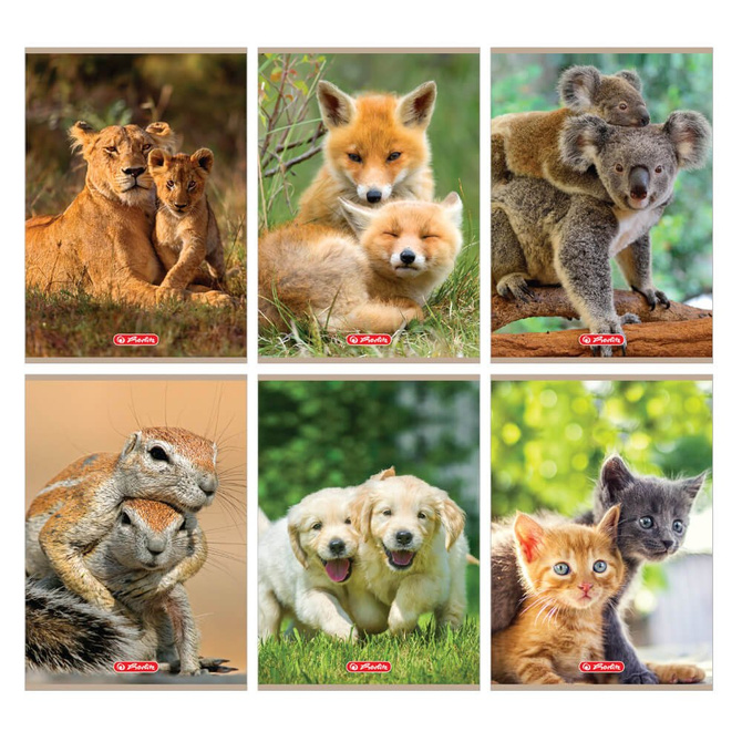 Zeszyt A5 16 kartek w kratkę z marginesem 70g/m2 Animals zwierzęta HERLITZ