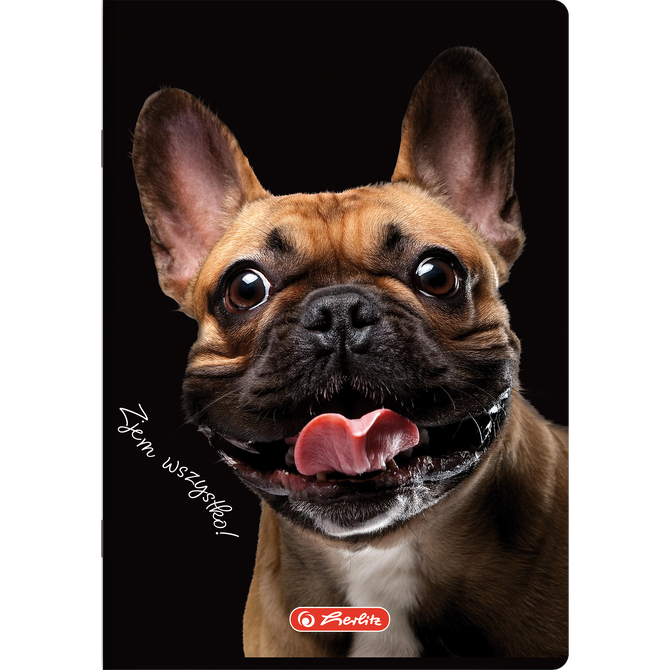 Zeszyt A4 60 kartek w kratkę z marginesem 70g Crazy Animal 5szt HERLITZ