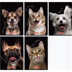 Zeszyt A5 80 kartek w kratkę z marginesem 70g Crazy Animal 5szt HERLITZ