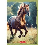 Zeszyt A4 32 kartki 3 w linię kolor 70g/m2 Animals HERLITZ