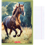 Zeszyt A4 32 kartki kratka w kratkę 70g/m2 Animals HERLITZ