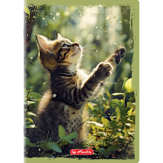 Zeszyt A4 32 kartki 3 w linię kolor 70g/m2 Animals HERLITZ