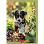 Zeszyt A4 32 kartki 3 w linię kolor 70g/m2 Animals HERLITZ