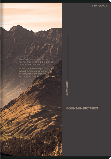 Zeszyt A4 80 kartek kratkę marginesem 70g Bird's Eye 5szt TOP 2000