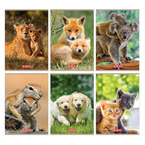 Zeszyt A5 16 kartek w kratkę z marginesem 70g/m2 Animals zwierzęta HERLITZ