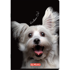 Zeszyt A4 60 kartek w kratkę z marginesem 70g Crazy Animal 5szt HERLITZ