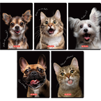 Zeszyt A5 80 kartek w kratkę z marginesem 70g Crazy Animal 5szt HERLITZ