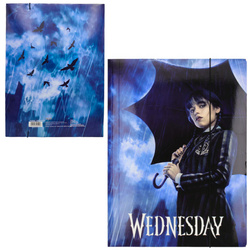 Teczka rysunkowa kartonowa z gumką A4 24x31cm Wednesday ASTRA