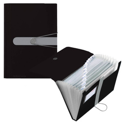 Teczka organizer A4 Easy Orga 12przegródek HERLITZ