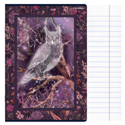 Zeszyt A5 32 kartki w linie z marginesem 70g/m2 Fairytale TOP 2000