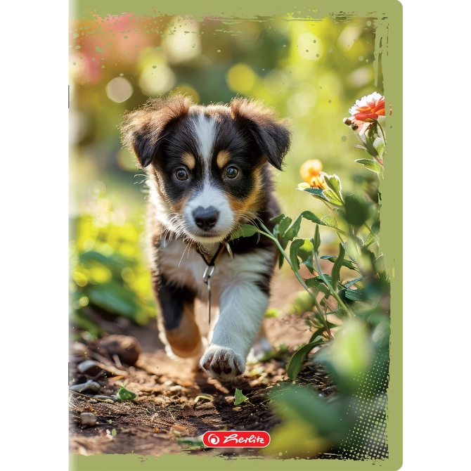 Zeszyt A4 32 kartki 3 w linię kolor 70g/m2 Animals HERLITZ