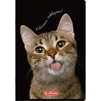 Zeszyt A4 60 kartek w kratkę z marginesem 70g Crazy Animal 5szt HERLITZ