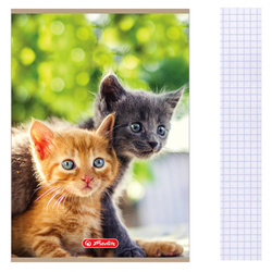 Zeszyt A5 16 kartek w kratkę z marginesem 70g/m2 Animals zwierzęta HERLITZ