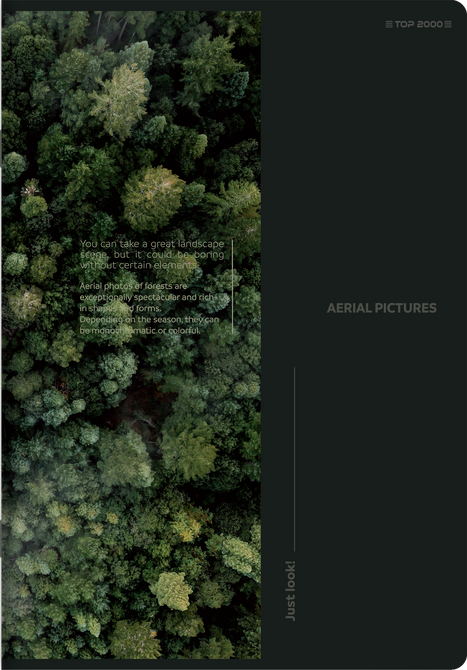 Zeszyt A4 80 kartek kratkę marginesem 70g Bird's Eye 5szt TOP 2000