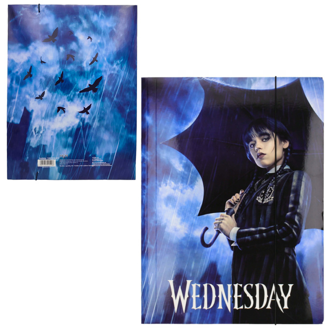 Teczka rysunkowa kartonowa z gumką A4 24x31cm Wednesday ASTRA