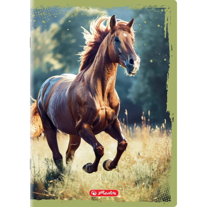 Zeszyt A4 32 kartki 3 w linię kolor 70g/m2 Animals HERLITZ