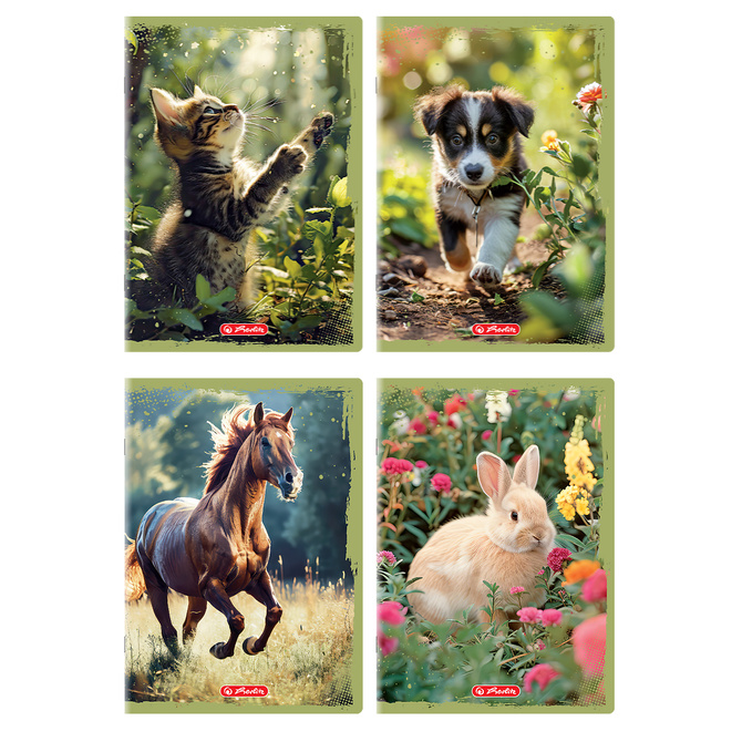 Zeszyty A4 32 kartki kratka w kratkę 70g/m2 Animals HERLITZ 10sztuk
