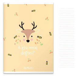 Zeszyt A5 16 kartek podwójna linia kolorowa 3linie 70g Pastel Cute HERLITZ