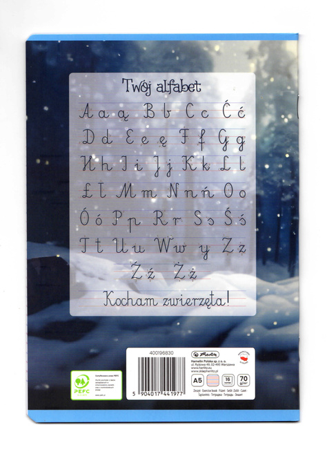 Zeszyt A5 16 kartek podwójna linia kolorowa 3linie 70g Wonder 20szt HERLITZ