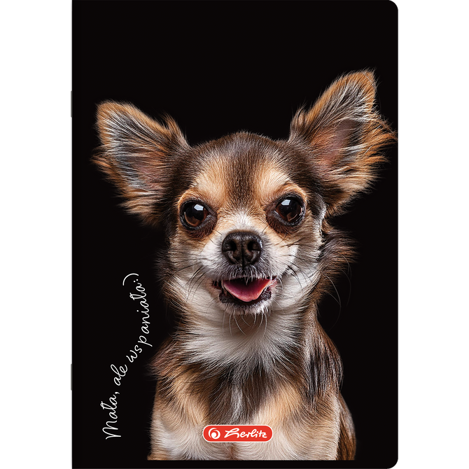 Zeszyt A5 80 kartek w kratkę z marginesem 70g Crazy Animal 5szt HERLITZ