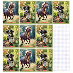 Zeszyty A4 32 kartki kratka w kratkę 70g/m2 Animals HERLITZ 10sztuk
