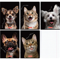 Zeszyt A5 80 kartek w kratkę z marginesem 70g Crazy Animal 5szt HERLITZ