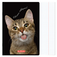 Zeszyt A5 60 kartek w kratkę z marginesem 70g Crazy Animal HERLITZ