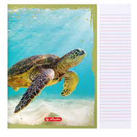 Zeszyt A5 16 kartek podwójna linia kolorowa 3linie 70g/m2 Animals HERLITZ