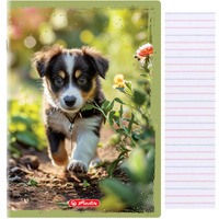 Zeszyt A4 32 kartki 3 w linię kolor 70g/m2 Animals HERLITZ