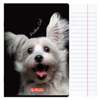 Zeszyt A5 60 kartek w linie z marginesem 70g Crazy Animal HERLITZ