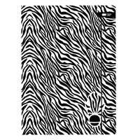 Teczka rysunkowa kartonowa gumką A4 24x31cm Zebra Black&White HAPPY COLOR
