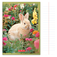 Zeszyt A5 32 kartki w linie z marginesem 70g/m2 Animals zwierzęta HERLITZ