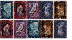 Zeszyt A5 60 kartek w linie z marginesem 70g Fairytale 10szt TOP 2000