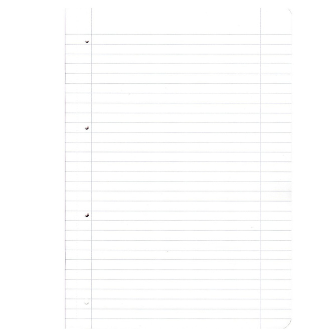 Notatnik A4 80k kratka linia My.Book PP HERLITZ