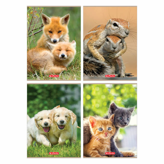 Zeszyty A4 32 kartki 3 linię kolorową 70g/m2 Animals HERLITZ 10sztuk