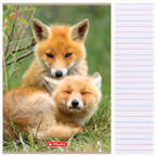Zeszyty A4 32 kartki 3 linię kolorową 70g/m2 Animals HERLITZ 10sztuk